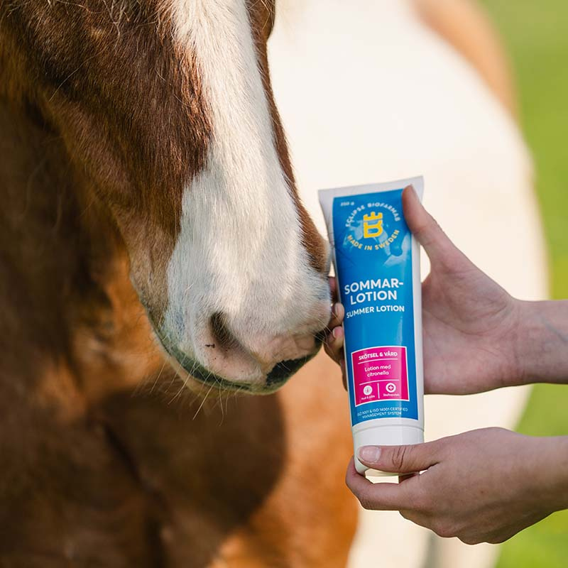 Summer Lotion Citronella 250ml