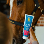 Wound Ointment Aloe Vera + Propolis Gel 250g Wound Ointment Aloe Vera + Propolis Gel 250g