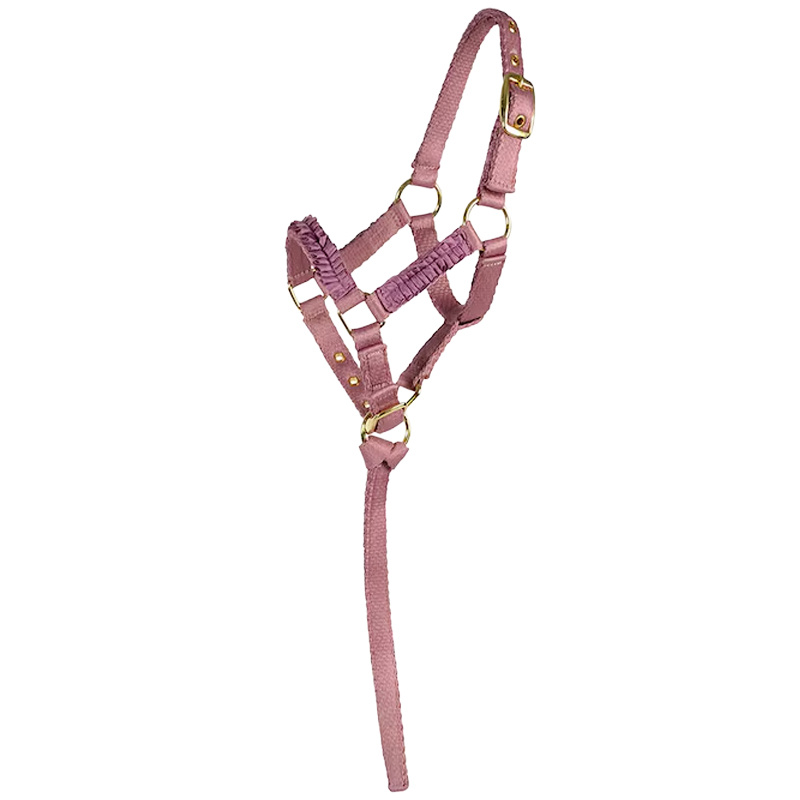 Foal Halter HS Unlined Pink