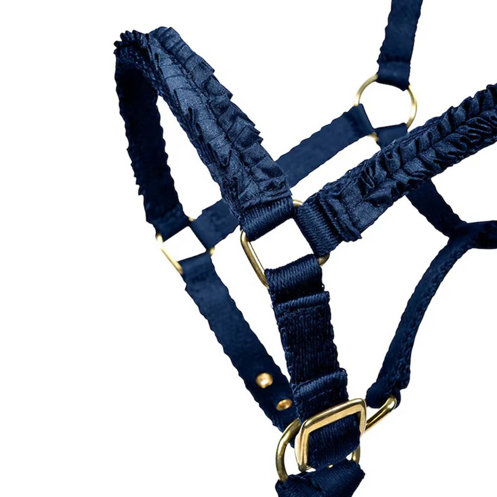 Foal Halter HS Unlined Blue