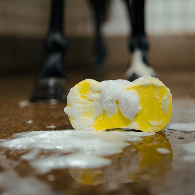 Washing Sponge HS Infinity Yellow