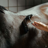 Sweat Scraper Brown Sweat Scraper Brown