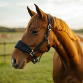 Halter HS Emma Fleece Black Halter HS Emma Fleece Black