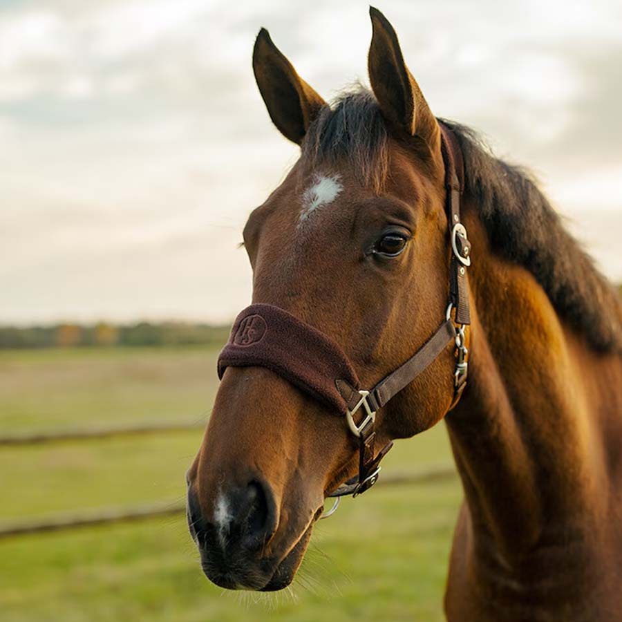Halter HS Emma Fleece Brown