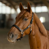 Halter HS Edit Black Halter HS Edit Black