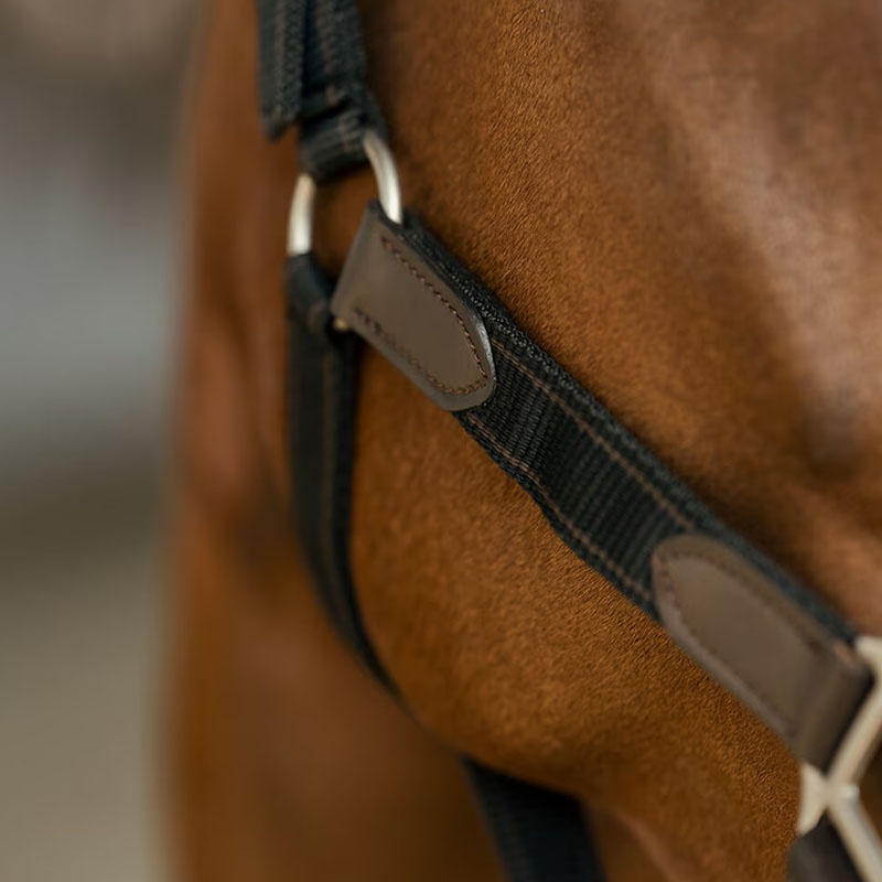 Halter HS Edit Black