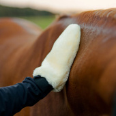 Grooming Glove HS Faux Fur Creme Grooming Glove HS Faux Fur Creme