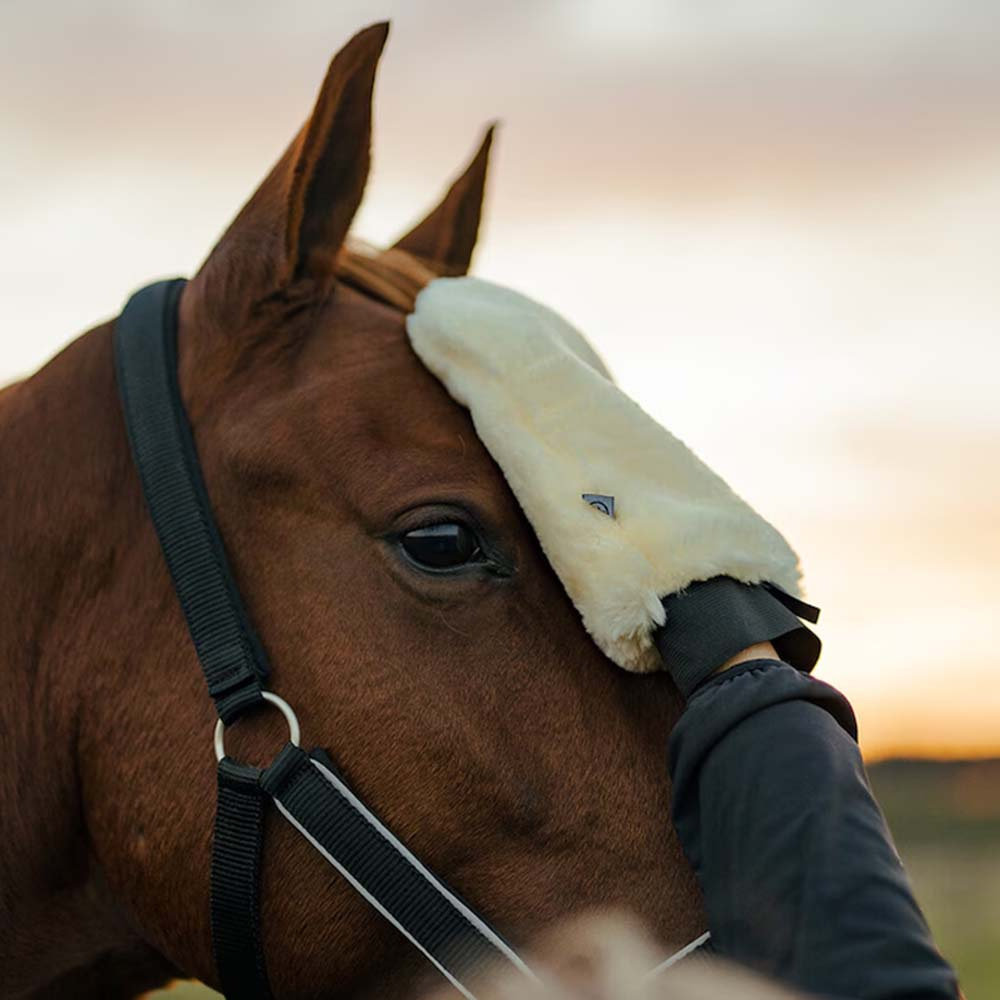 Grooming Glove HS Faux Fur Creme