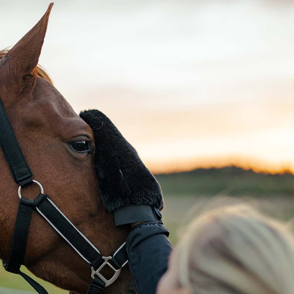 Grooming Glove HS Faux Fur Black