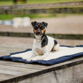 Dog Bed HS Picnic Fold 88x66cm Navy Blue Dog Bed HS Picnic Fold 88x66cm Navy Blue