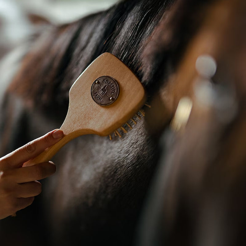 Mane & Tail Brush Kardformad Brown