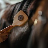 Mane & Tail Brush Kardformad Brown Mane & Tail Brush Kardformad Brown