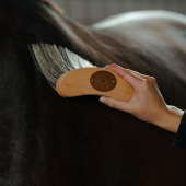 Banana Brush Poly X-Long Brown Banana Brush Poly X-Long Brown