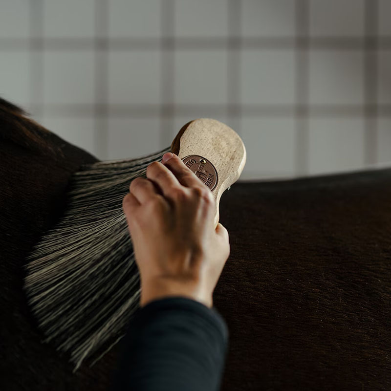 Waist Brush Poly X-Long Brown