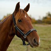 Reflective Halter HS Black Reflective Halter HS Black