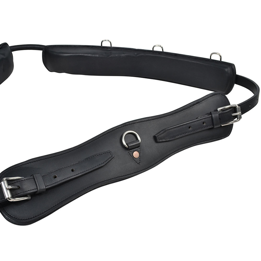Lunge Girth with Arc HS Black