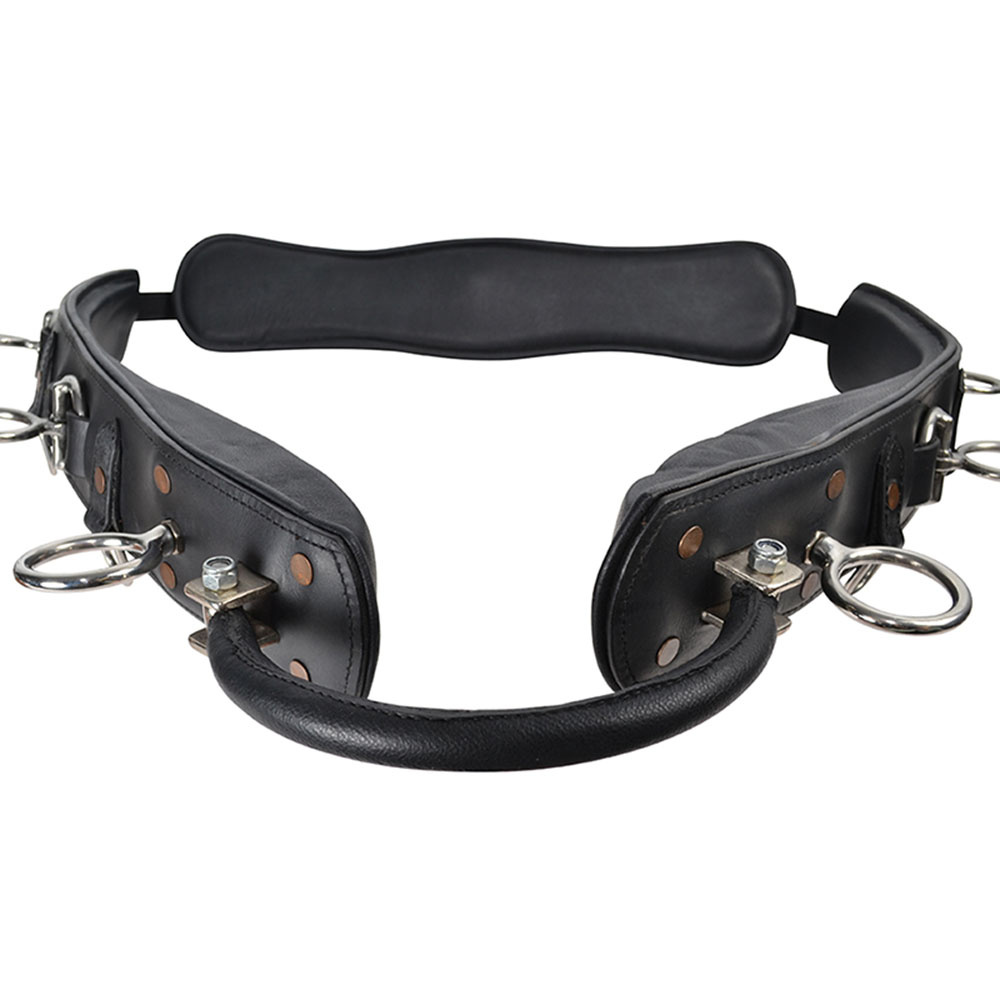 Lunge Girth with Arc HS Black