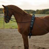 Lunge Girth with Arc HS Black Lunge Girth with Arc HS Black