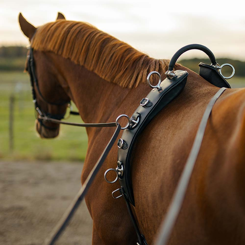 Lunge Girth with Arc HS Black