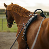 Lunge Girth with Arc HS Black Lunge Girth with Arc HS Black