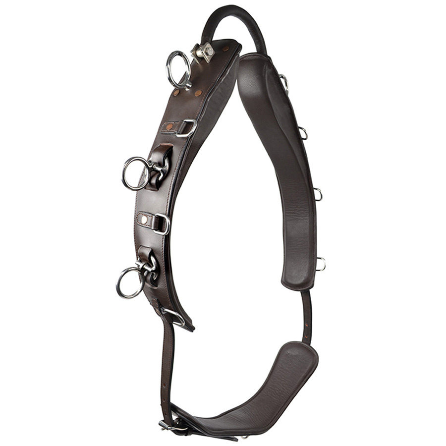 Lunge Girth with Arc HS Brown
