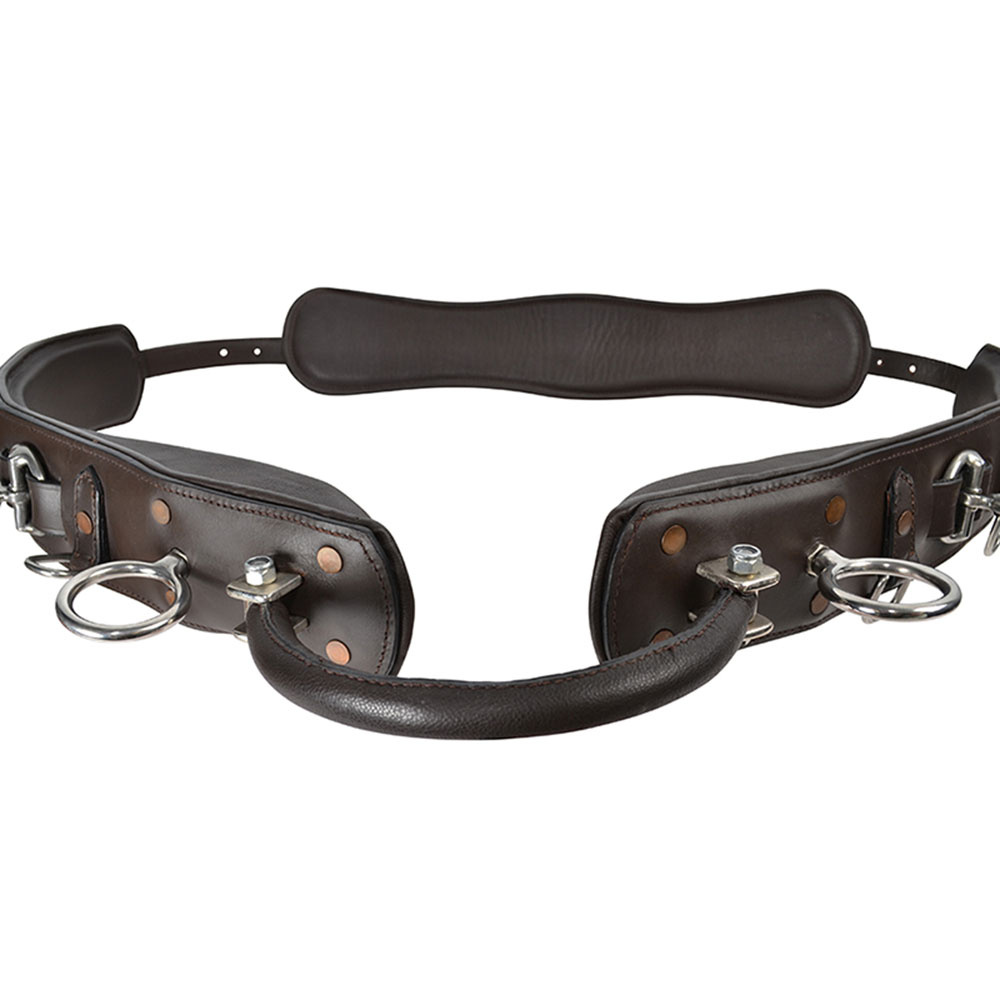 Lunge Girth with Arc HS Brown