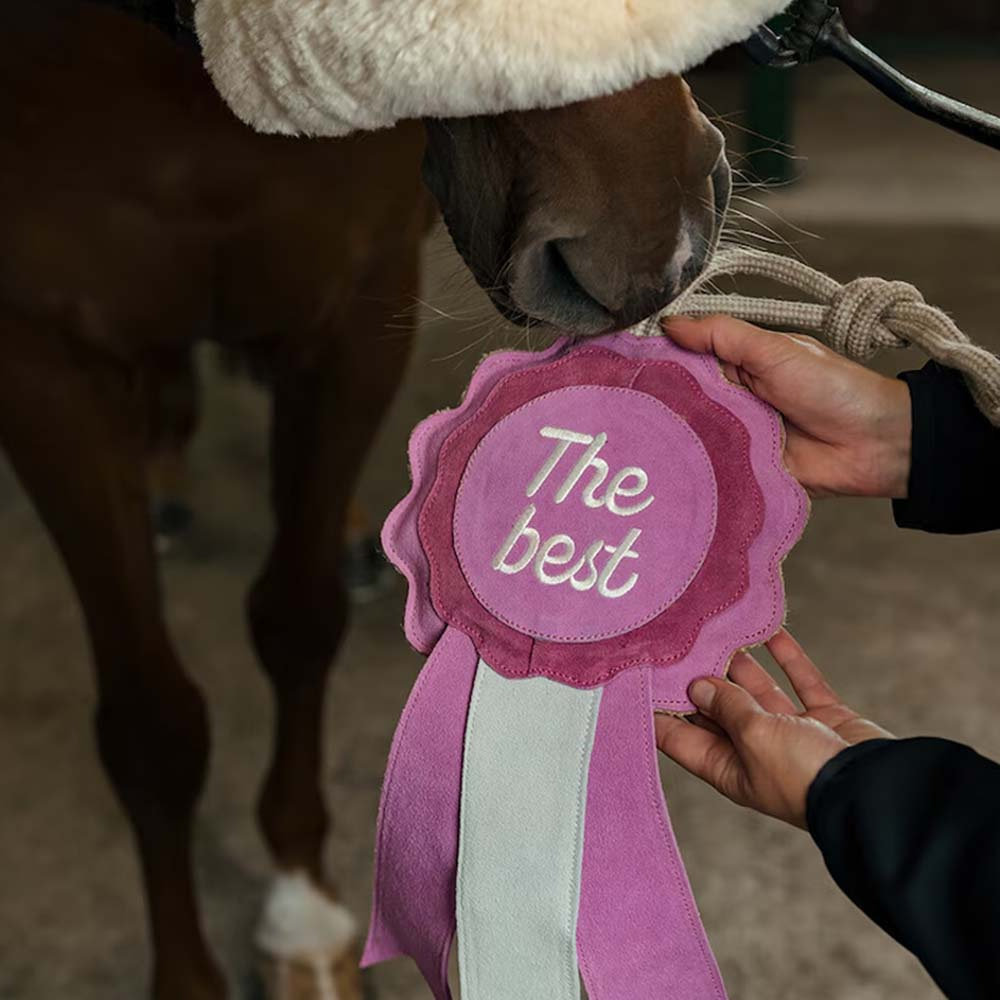 Horse Toy HS Prize Ribbon The Best Pink