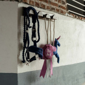 Horse Toy HS Prize Ribbon The Best Pink Horse Toy HS Prize Ribbon The Best Pink