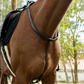 Neck Strap with Handle HS Brown Neck Strap with Handle HS Brown