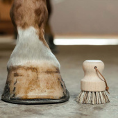 Round Hoof Brush Brown Round Hoof Brush Brown
