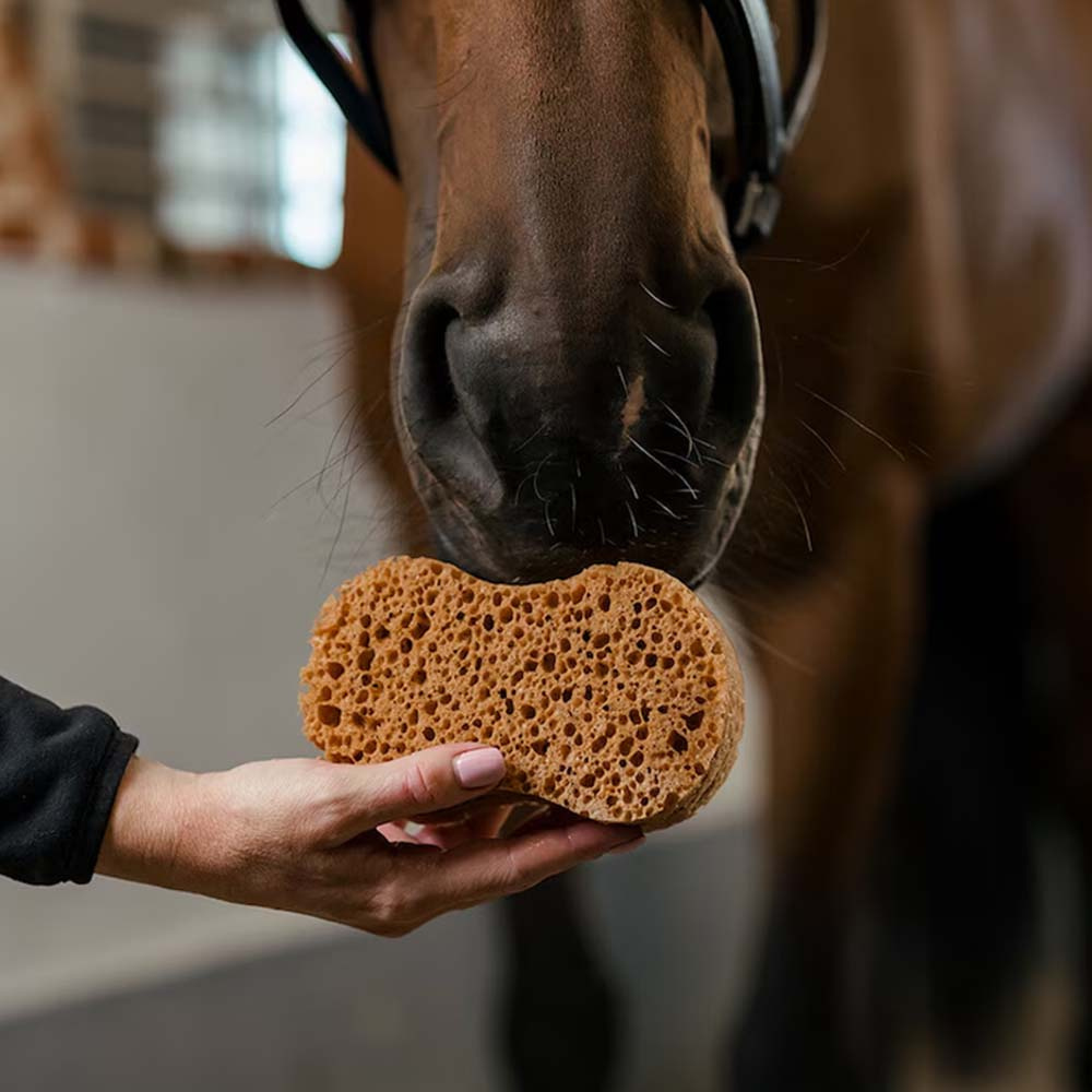 Sponge Infinity Brown