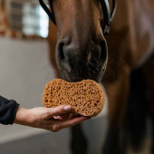 Sponge Infinity Brown Sponge Infinity Brown