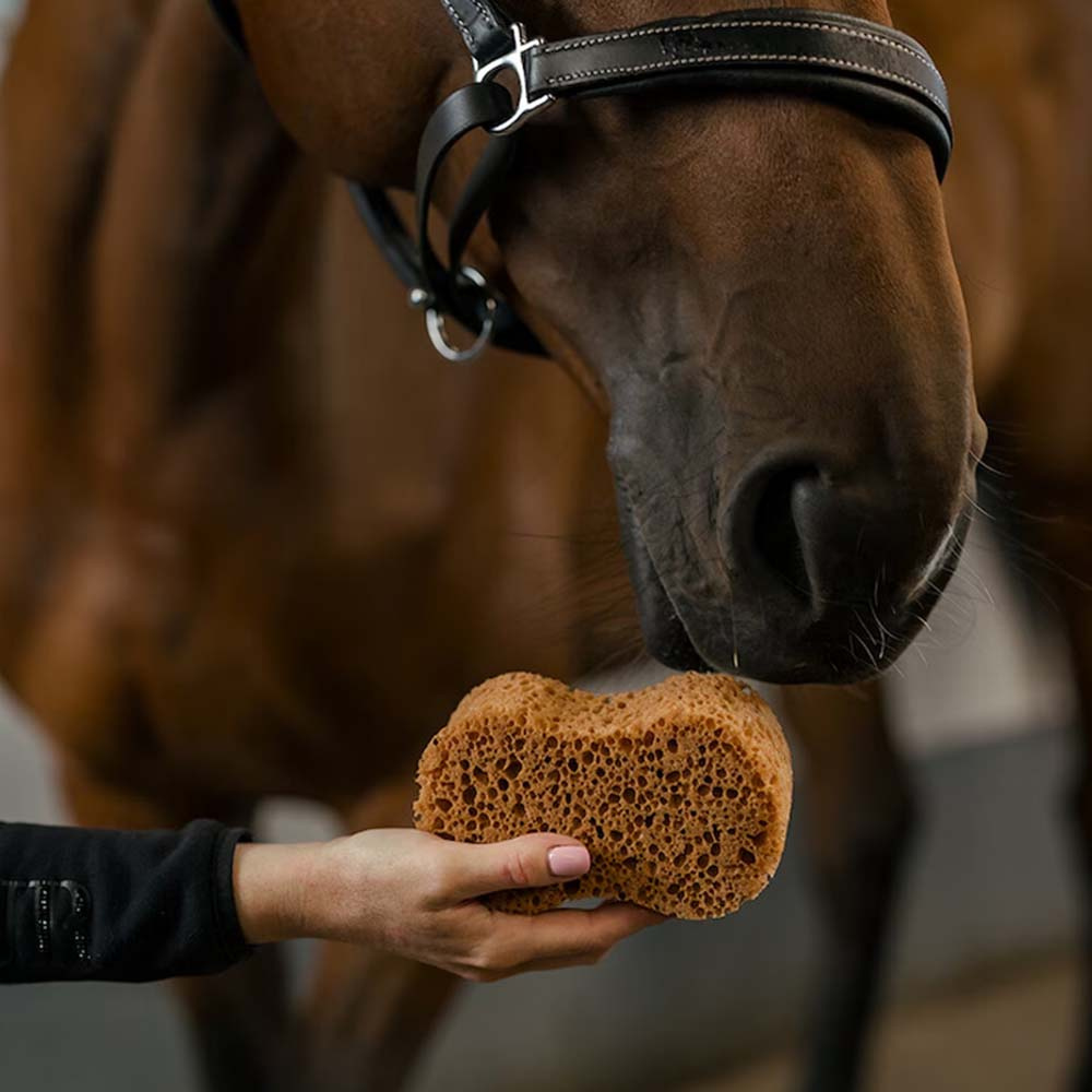 Sponge Infinity Brown