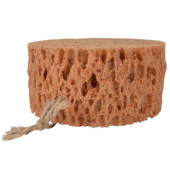 Round Sponge Brown Round Sponge Brown
