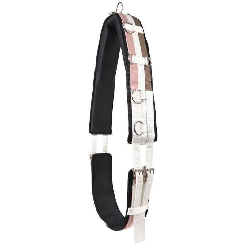 Lunging Surcingle HS Pink