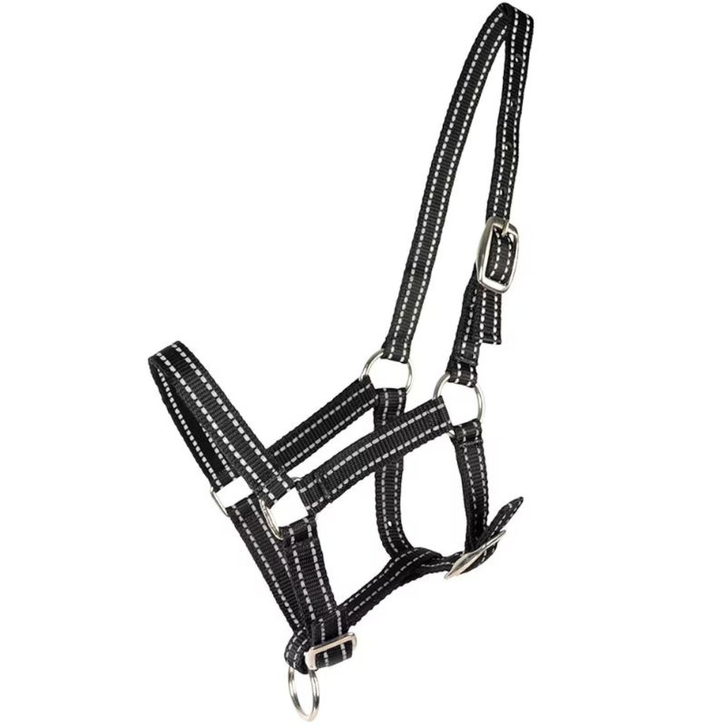 Foal Halter HS Reflective Black