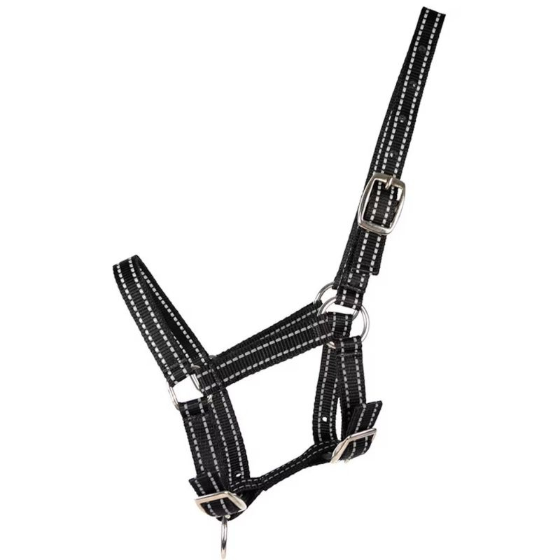 Foal Halter HS Reflective Black
