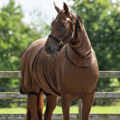 Sweetitch Rug UV-Resistant Brown Sweetitch Rug UV-Resistant Brown