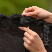 Mane Plaiting Set Black Mane Plaiting Set Black