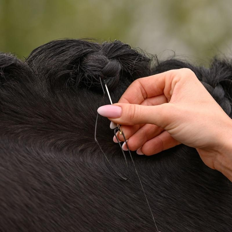 Mane Plaiting Set Black