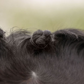 Mane Plaiting Set Black Mane Plaiting Set Black