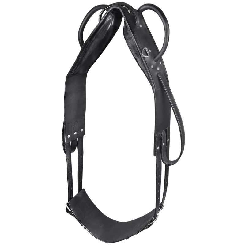 Vaulting girth Leather Black