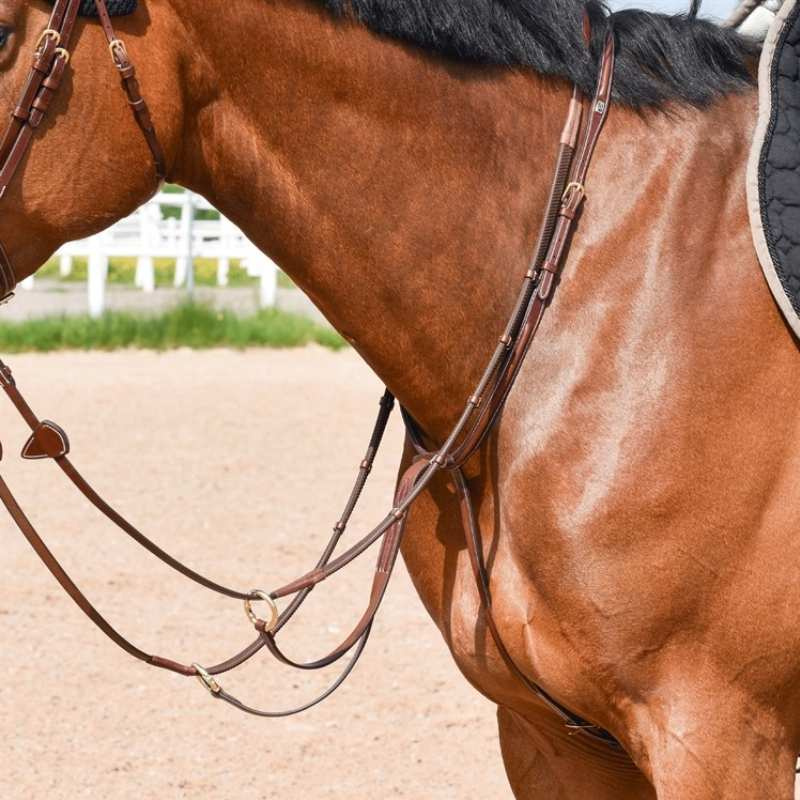 Martingale E-logo with Openable Rings Brown/Brass