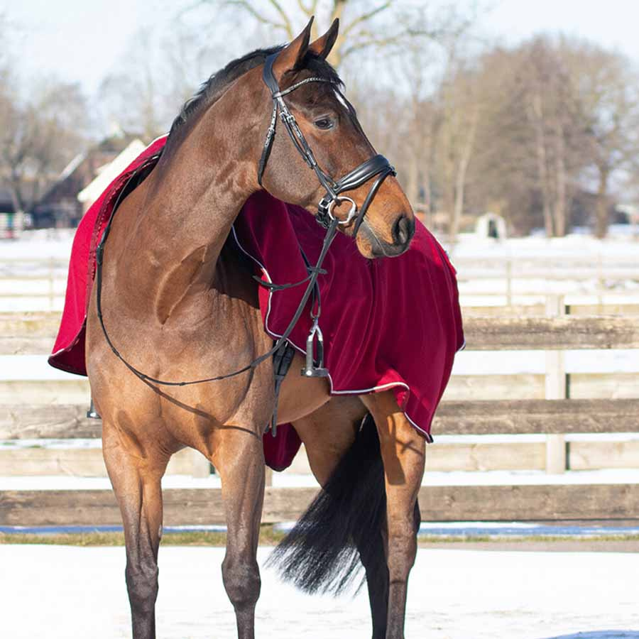 Exercise Sheet Ornament Fleece Burgundy/Silver