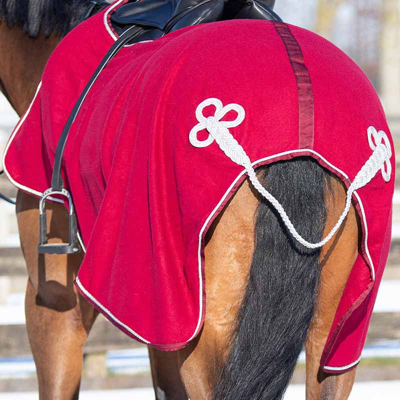 Exercise Sheet Ornament Fleece Burgundy/Silver