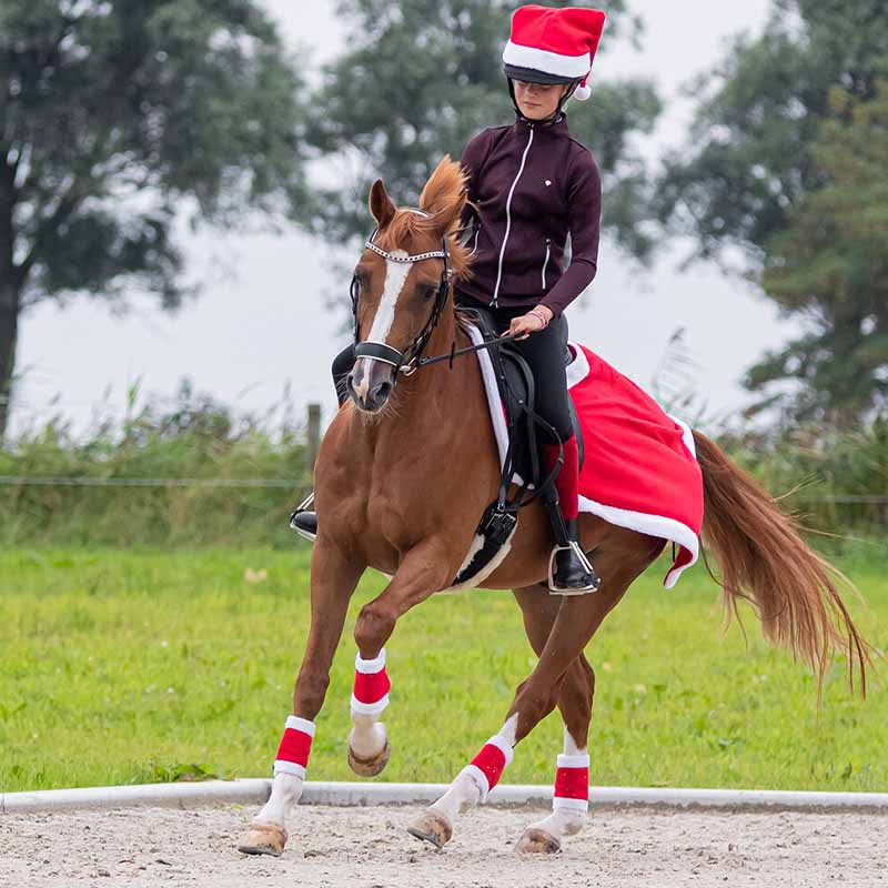 Quarter Rug Christmas Red/White
