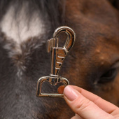 Snap Hook D-Ring Silver Snap Hook D-Ring Silver