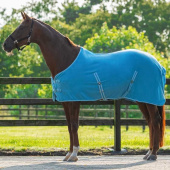 Fleece Rug Color Blue Fleece Rug Color Blue