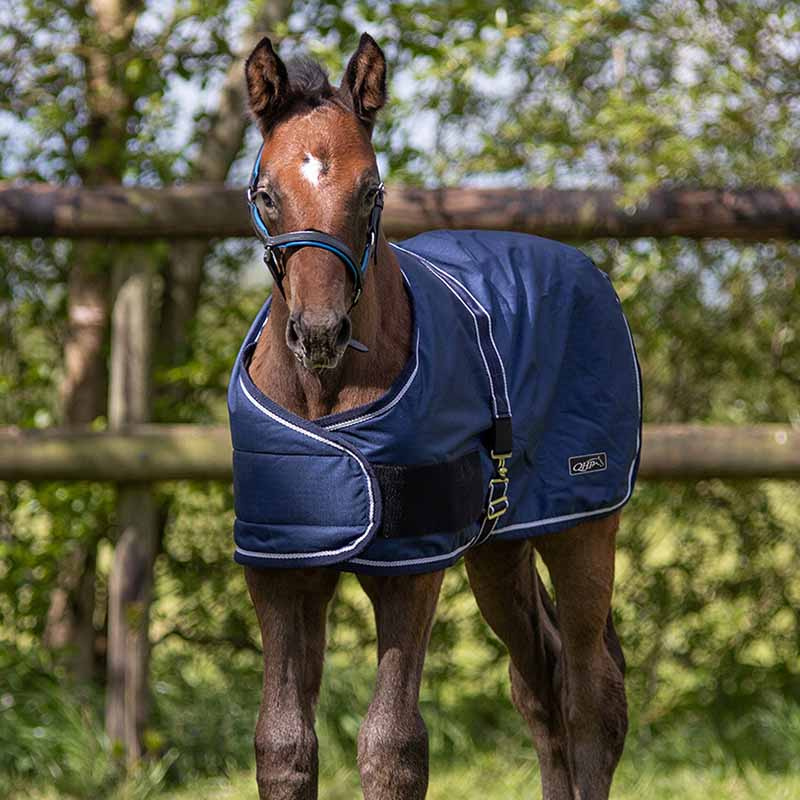 Foal Rug Turnout 600D 100g Navy Blue