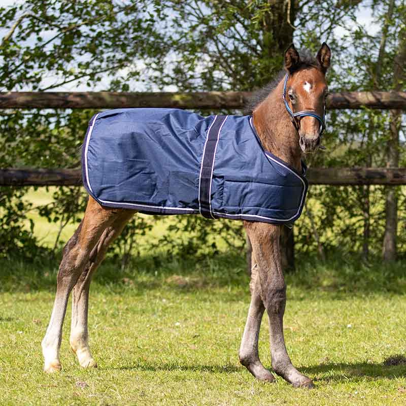 Foal Rug Turnout 600D 100g Navy Blue
